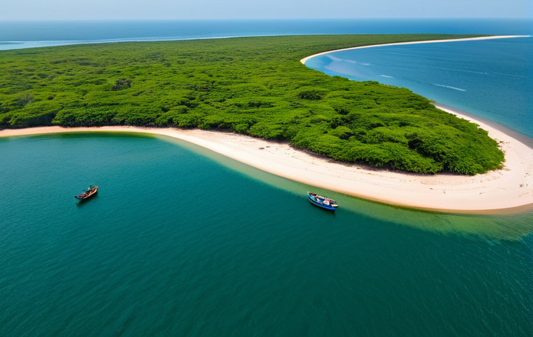 ギニアビサウ治安対策 - 이미지 2