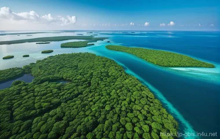 기니비사우에서 방문하기 좋은 섬 여행지 - **Prompt:** A breathtaking aerial view of the Bijagos Archipelago at dawn. The scene captures a pris...