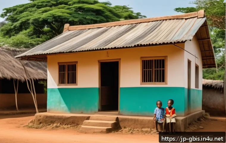 기니비사우 의료 시스템과 병원 정보 관련 이미지 1